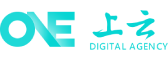 桓仁软件开发公司